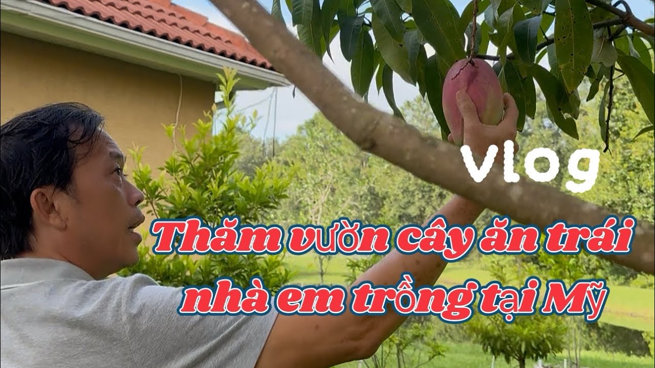 Hoài Linh giới thiệu đặc sản vườn nhà bên Mỹ tự tay trồng
