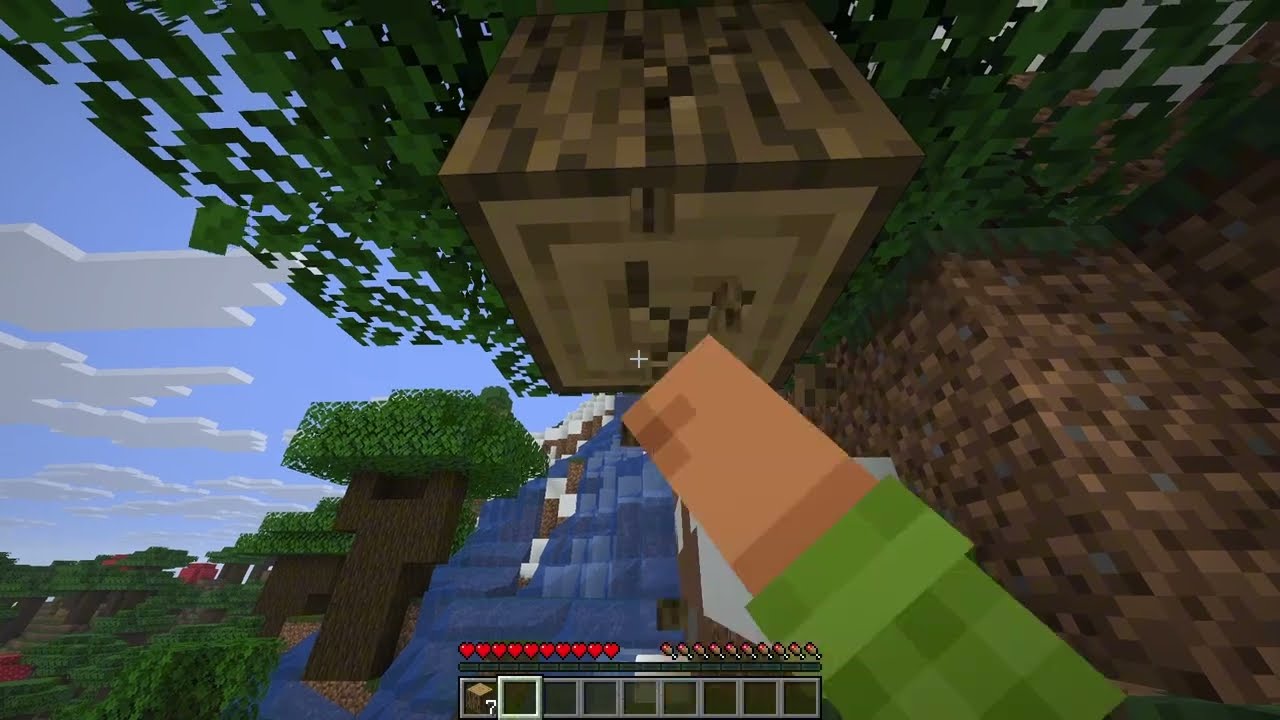 Minecraft survival 1.