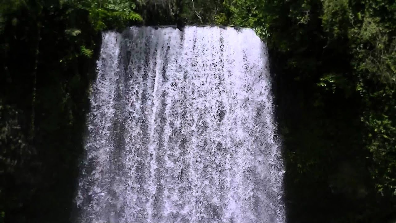 Millaa Milla Falls Queensland's most photographed waterfall
