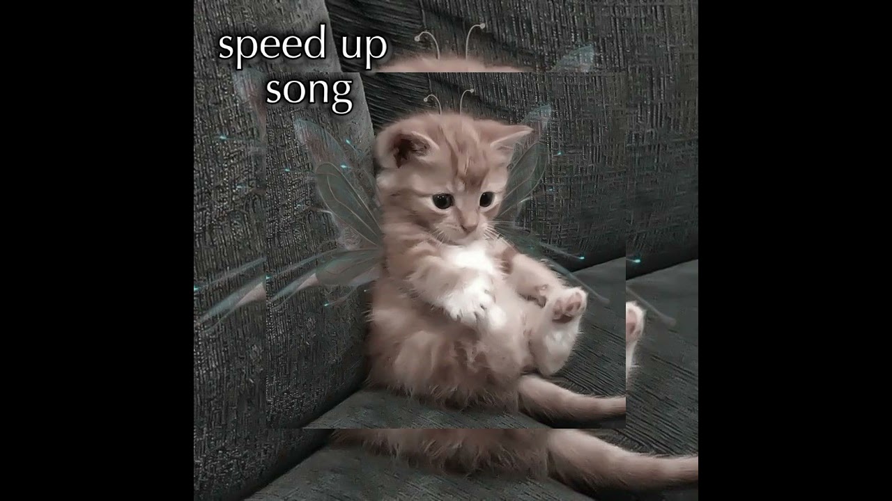 Ананасовый сок-просто Лера speed up 🍍🧃