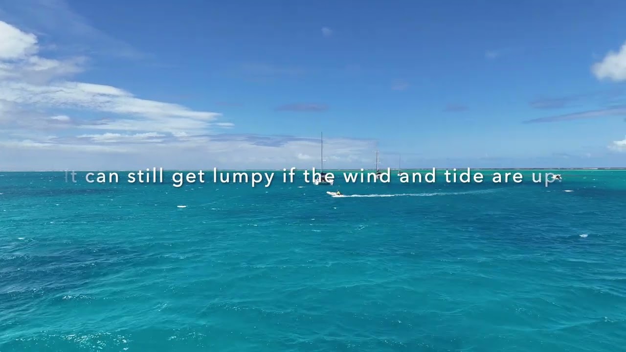 Lady Musgrave Island 2025..