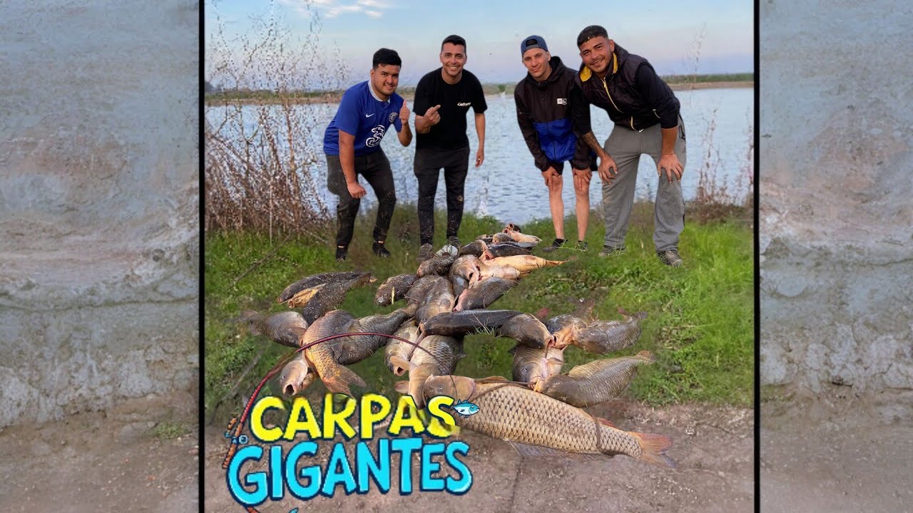 SACAMOS 50 CARPAS EN ROQUE PEREZ 