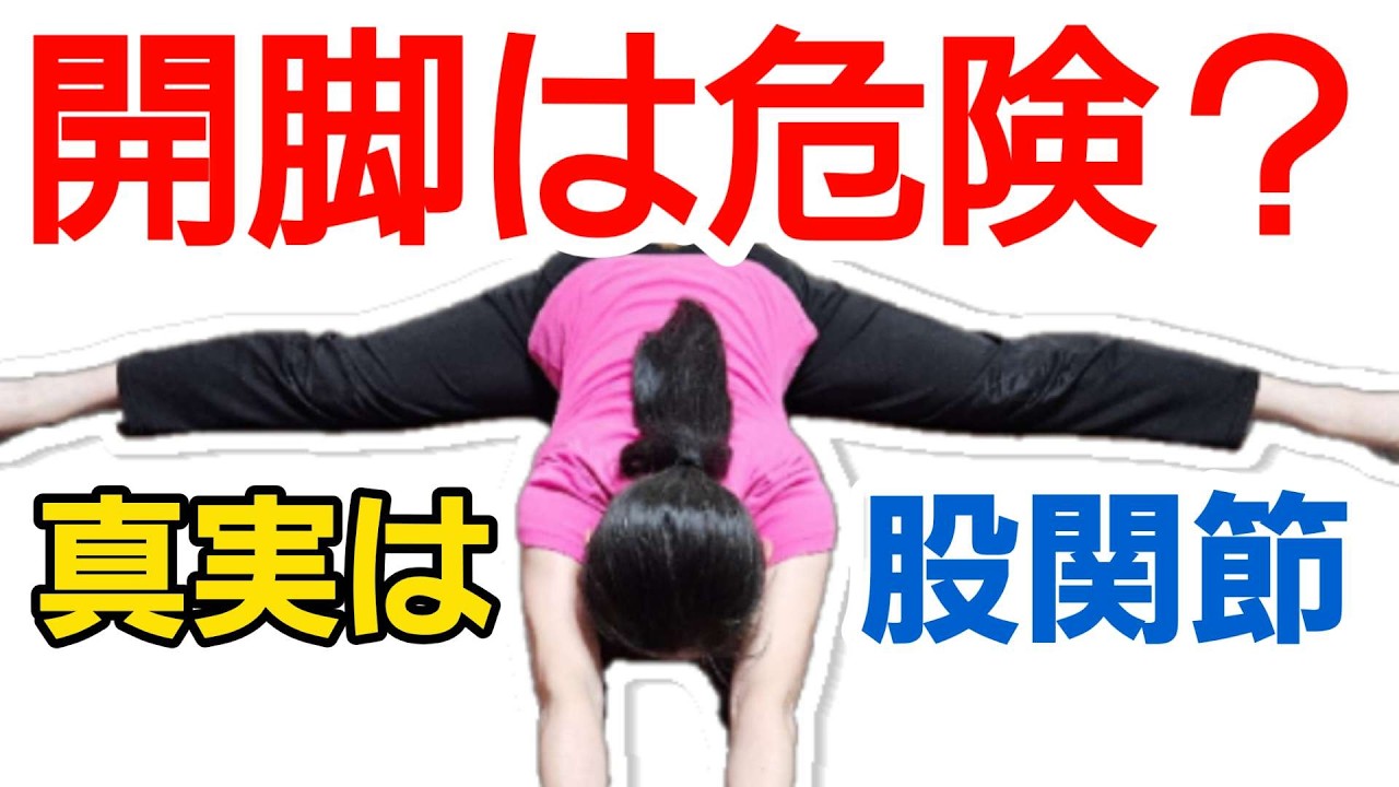 筋生理学・運動学から見た開脚の真実──股割りが必要な理由！今話題の本質を突く開脚前屈の方法！ #筋トレ #開脚 #股割り #股関節 #split
