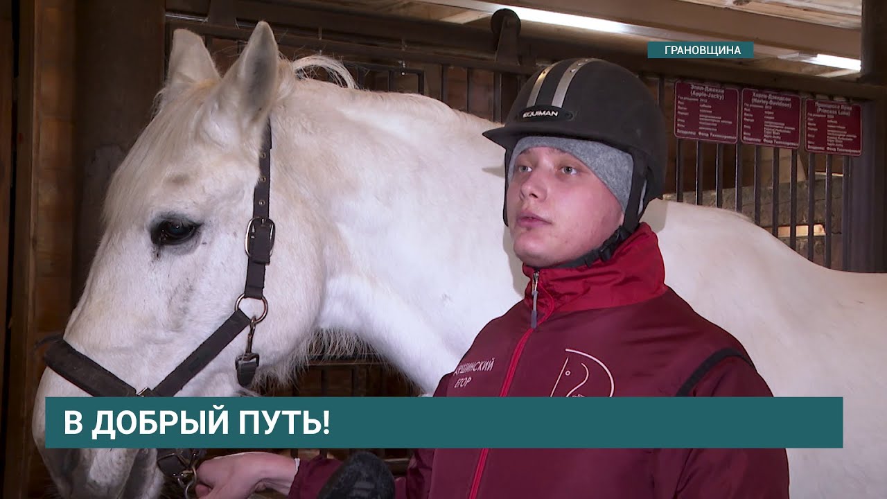 Егор Аршинский и его конь Абсент выступят на Кубке страны по конному спорту