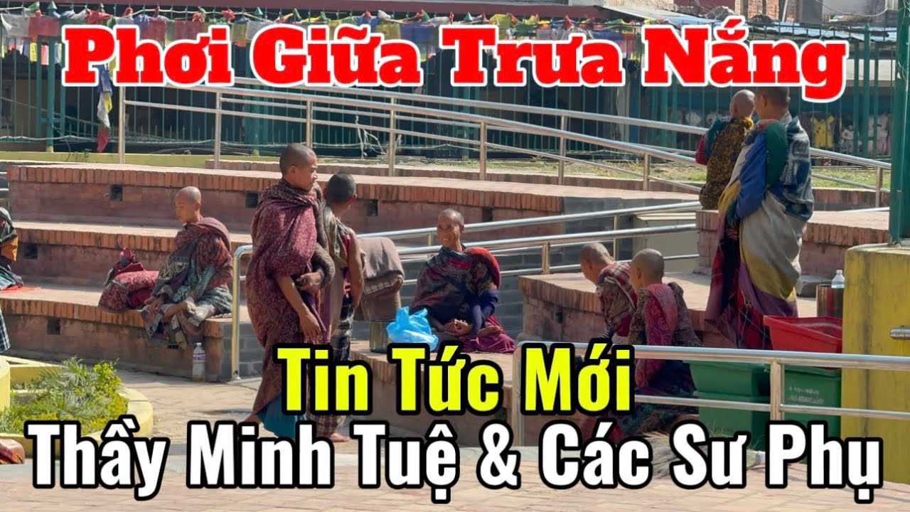 Thầy Minh Tuệ Phơi Giữa Trời Nắng Cùng Các Sư Phụ | Tin Tức Mới Nhất Lúc Này Tại Khu Tháp Khỉ Nepal 