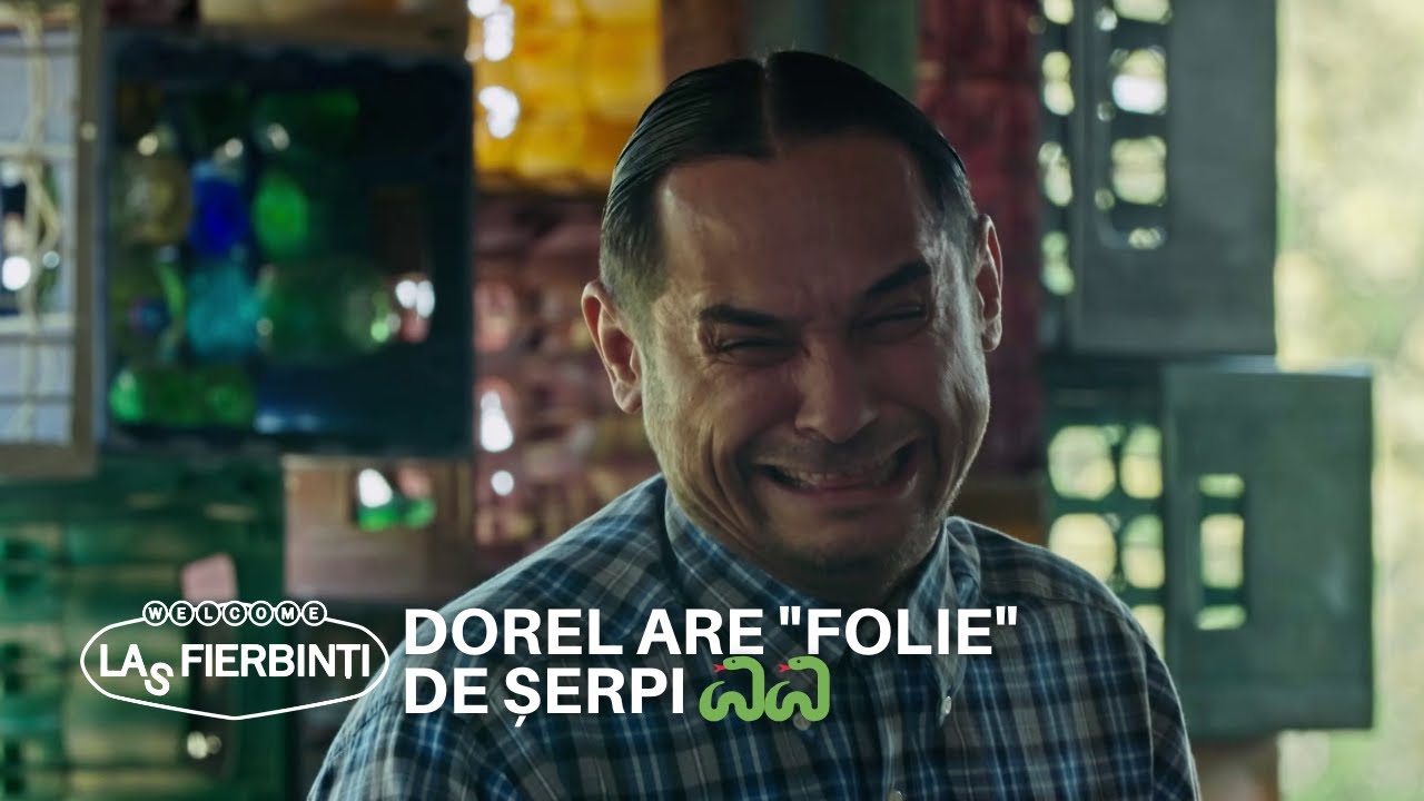 Dorel are 