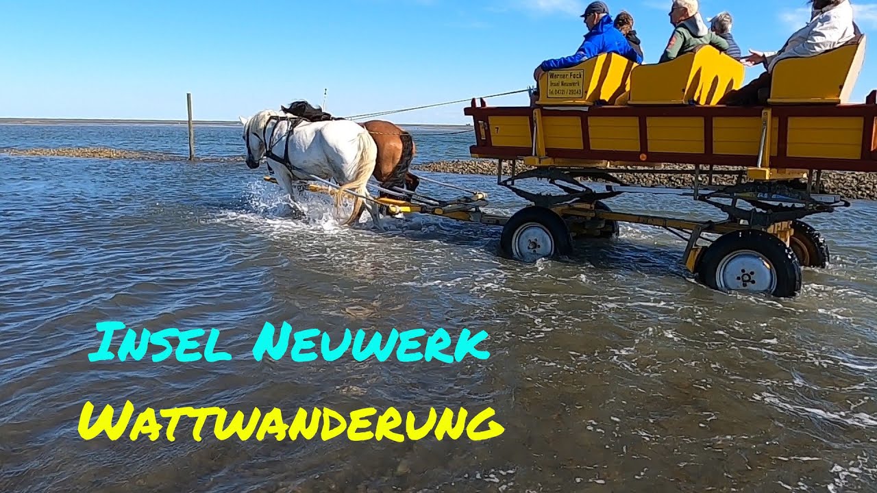 Zu Fu&szlig; nach Neuwerk und zur&uuml;ck 🚶🏃