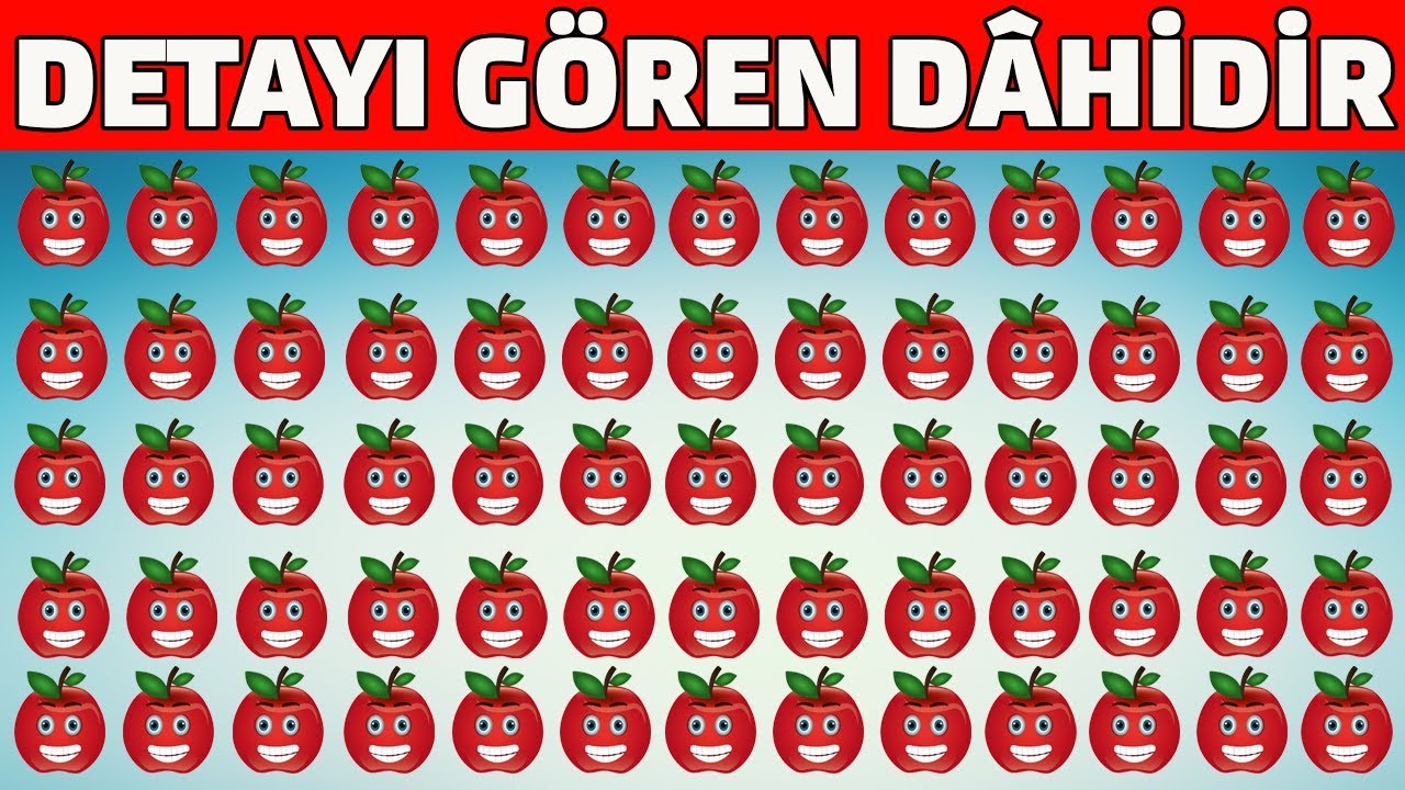 Dikkatinizi ve Zekanızı Ölçecek 19 Resim (ÇOK ZOR DİKKAT TESTİ)