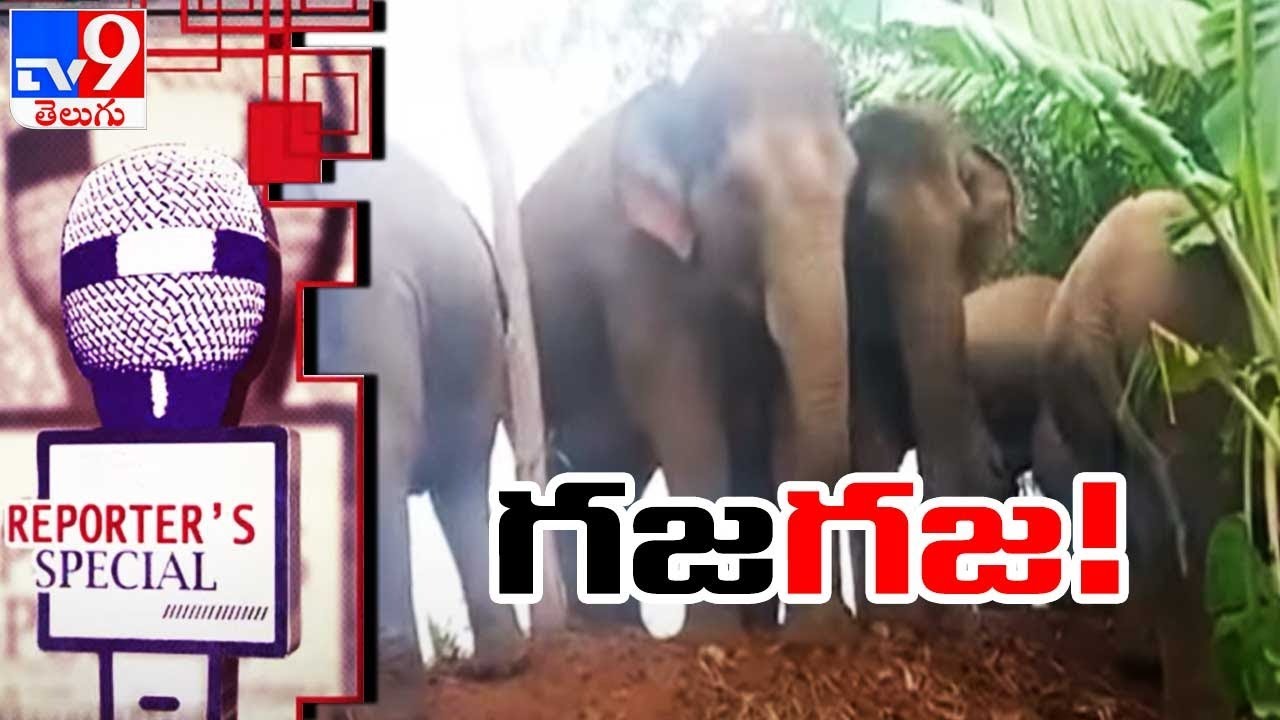 Reporter's Special: గజగజ! | Elephants Hulchul in Parvathipuram Agency - TV9