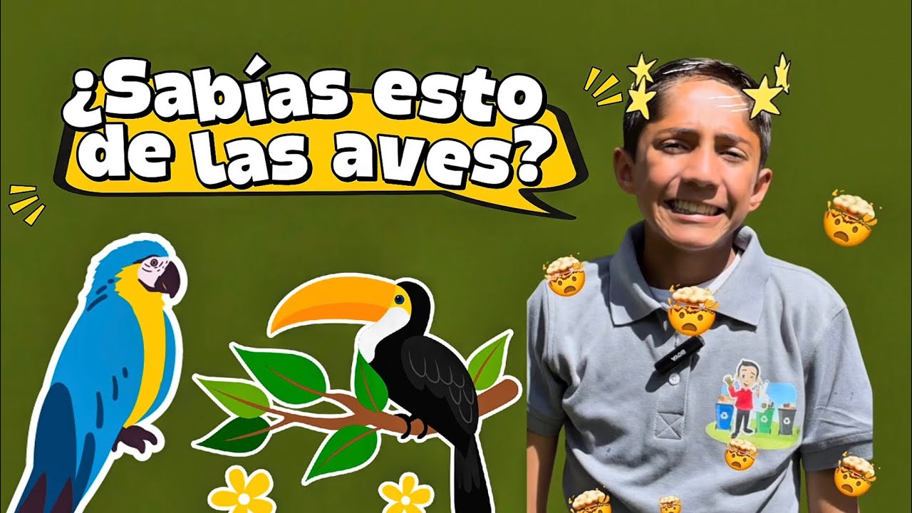 ¿Sabías esto sobre las aves? Curiosidades increíbles 🐦