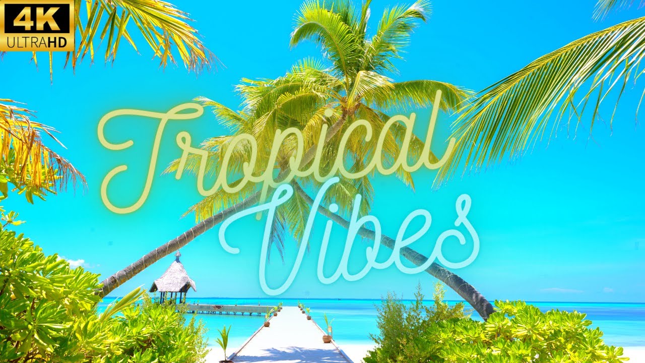 Tropical Islands 🌴 Song By J.D Nicholas (KUMM A KLELE) StressRelief 🍃 Beautiful Ocean Views In 4K