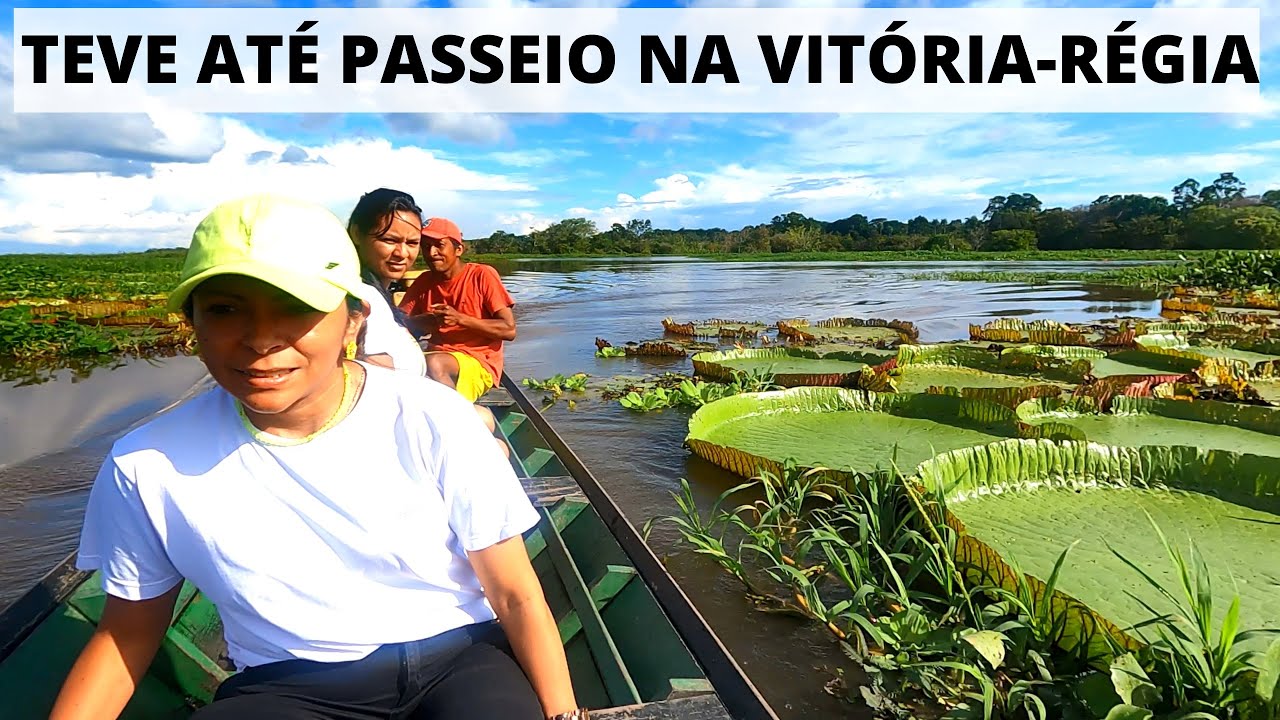 Conheça a comunidade ribeirinha de Carariacá, em Santarém, no Pará, no Rio Amazonas