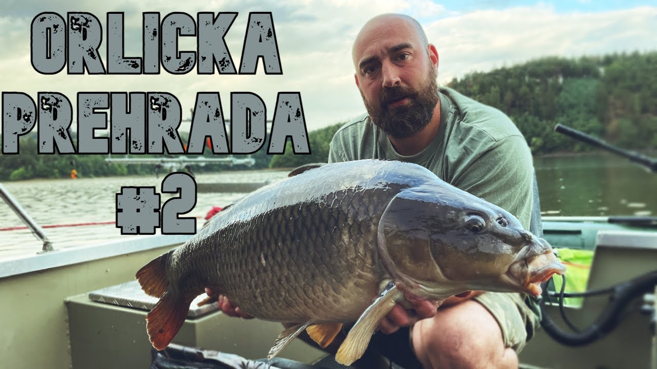 Kaprařina z lodě #2 |Orlická přehrada|