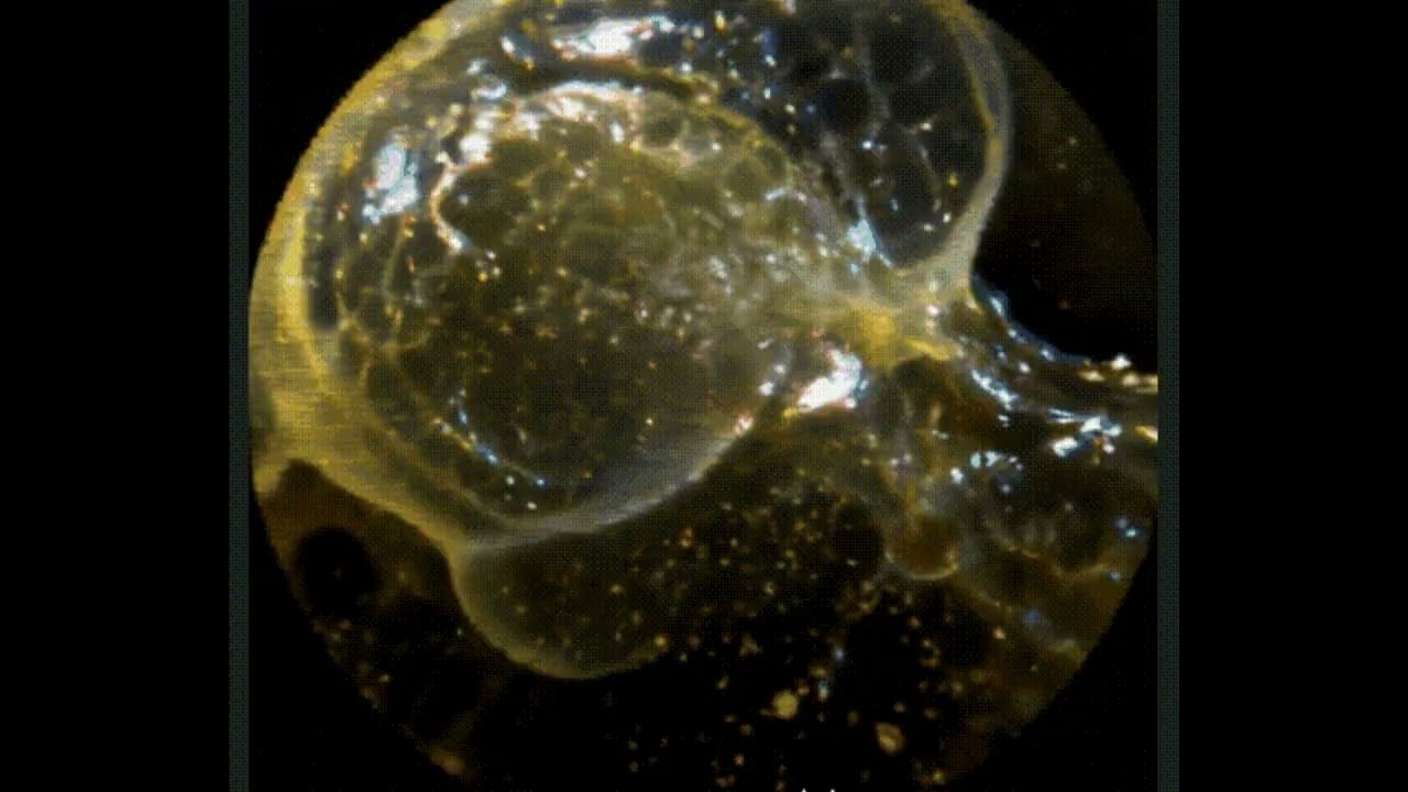 FRAGMENT_LOGS : LOG_05 // Osmotic Pressure [Ambient / Psybient 432Hz]