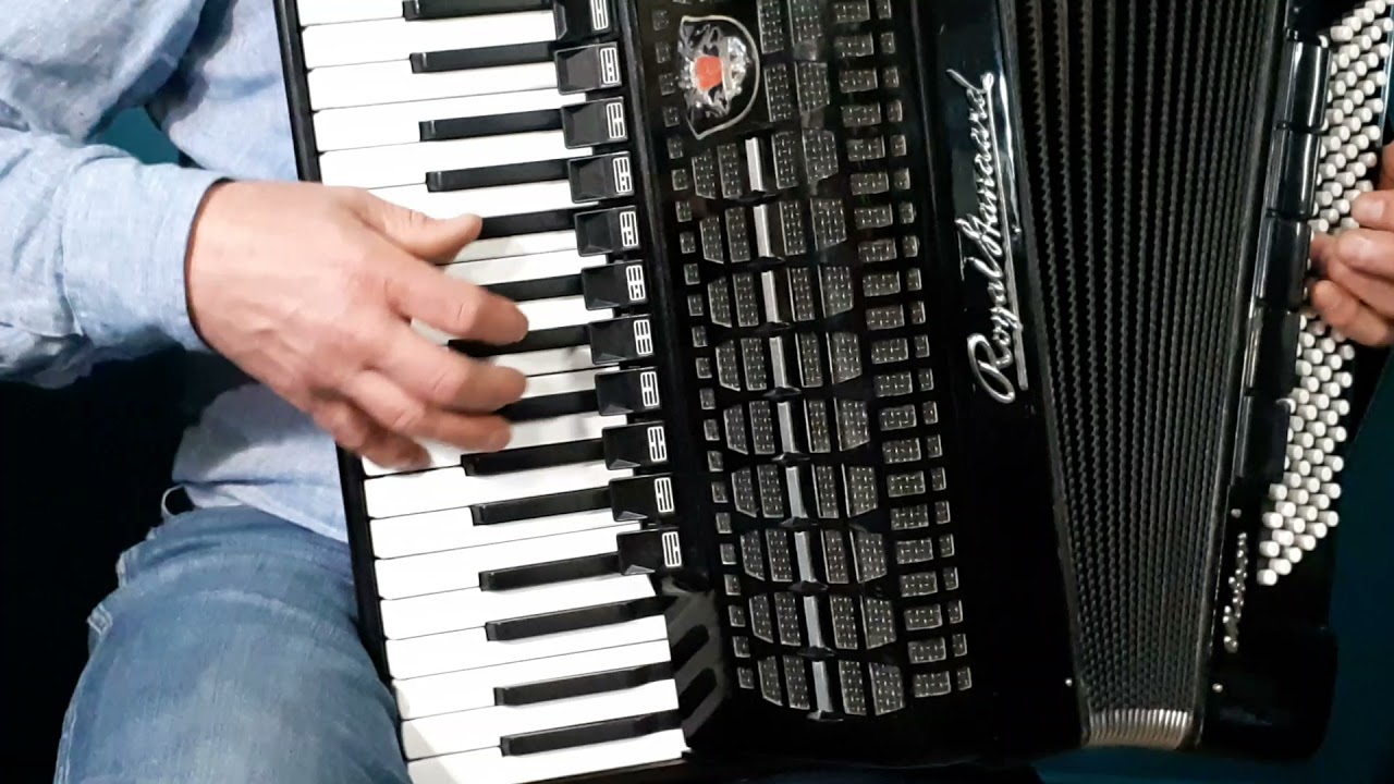 Akordeon 120b Royal Standard po kapitalnym remoncie