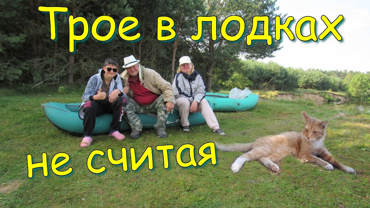 Сплав по р.Неман с котом. Оставили кота в лесу одного. 