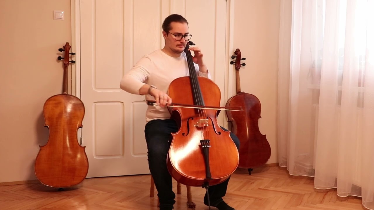 Professional Level Guarneri Cello 4/4 by Vivarius Workshop #74