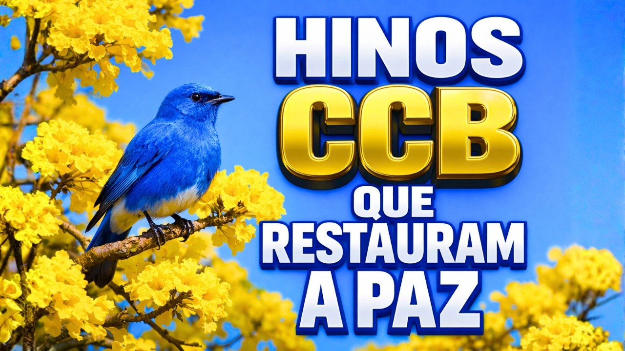 🌾 HINOS CCB PARA A ALMA CANSADA ✨ LOUVORES QUE RESTAURAM A PAZ E O SILÊNCIO INTERIOR 🙏