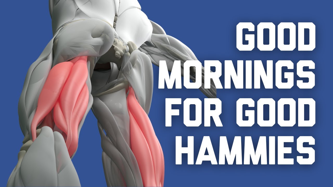 HOW TO DO GOOD MORNINGS // Exercise Tutorial from The 3DMJ Lifting Library