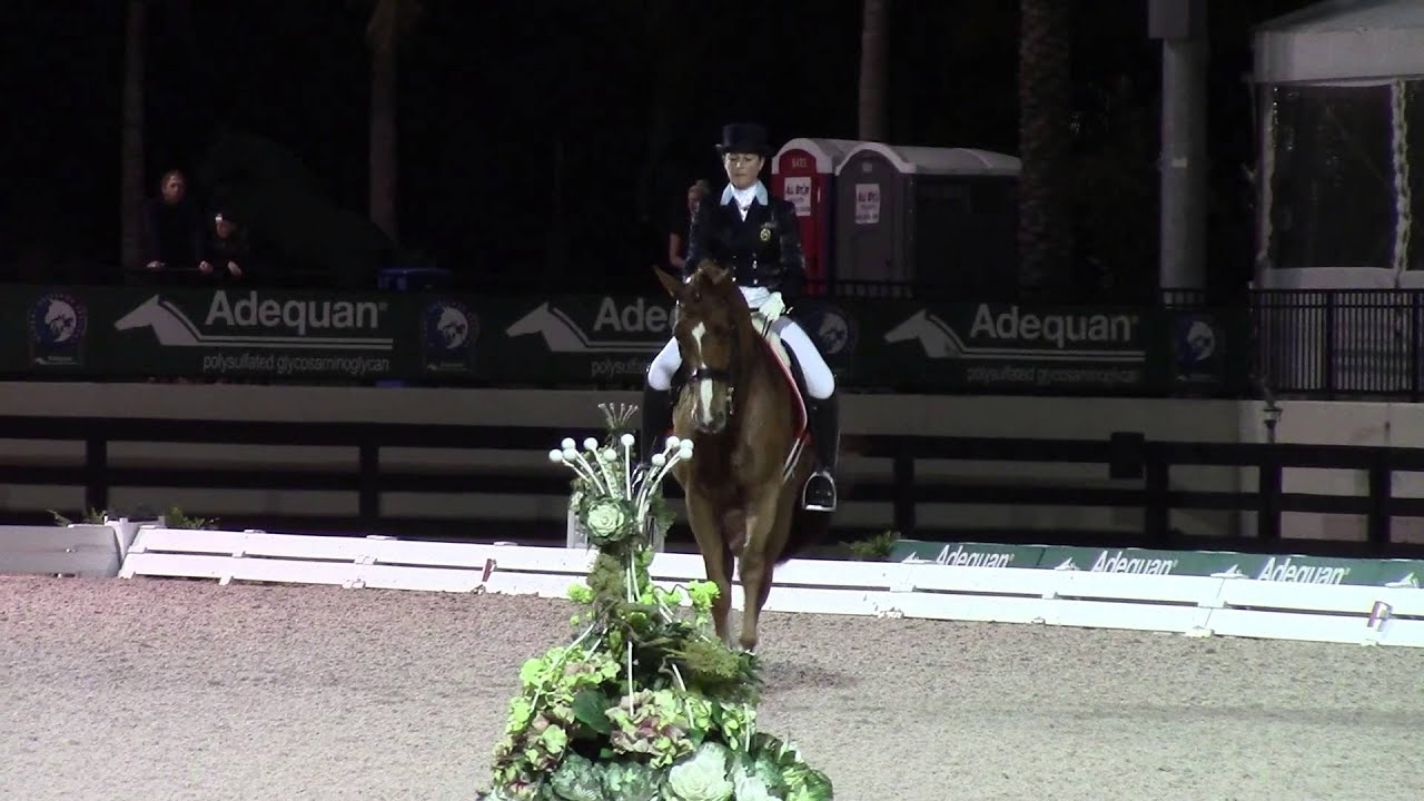 Mane Stream Hotmail, Grand Prix Freestyle GDF1, January 2015