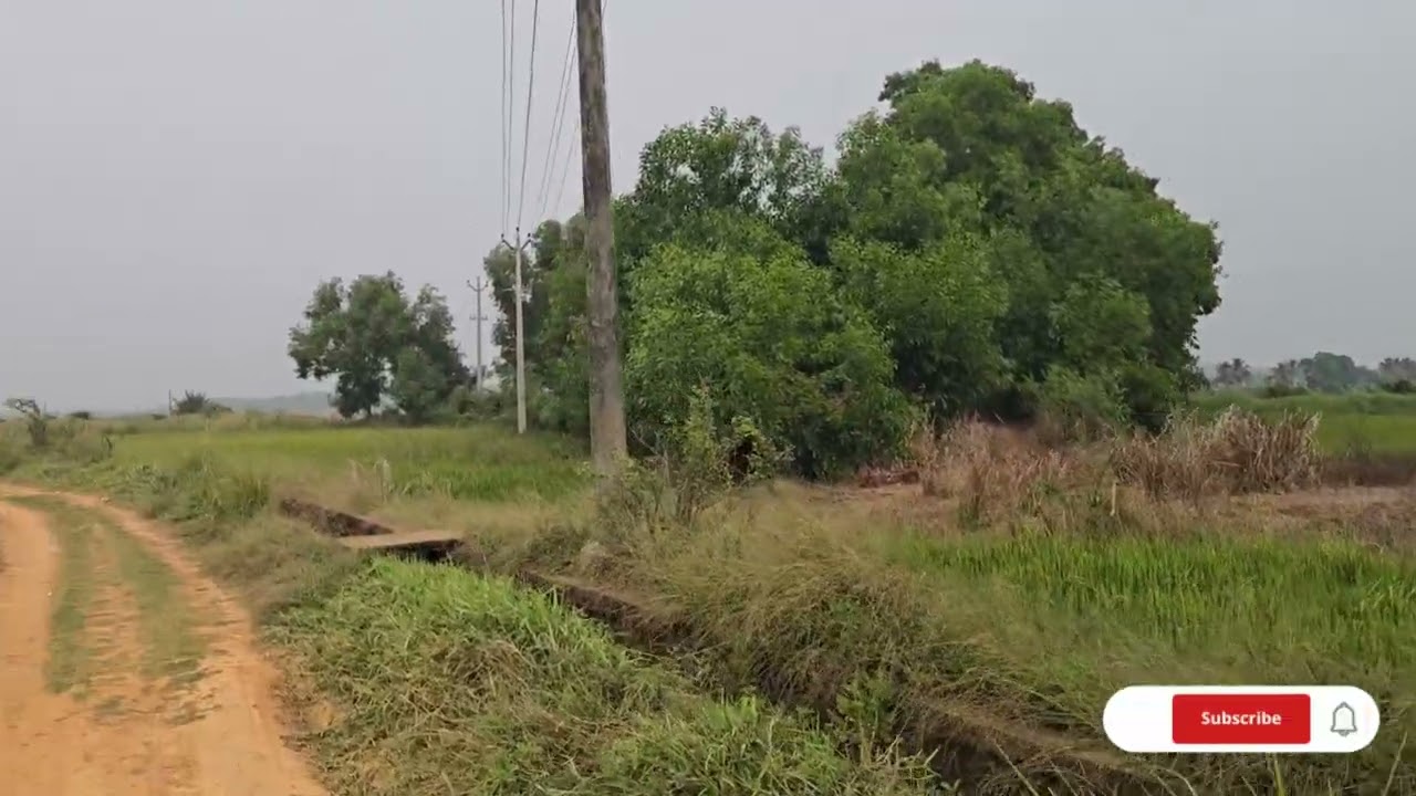 No. 685. മുപ്പതിനായിരം സെന്റ് വില 4 ഏക്കർ തൃശ്ശൂർ ചിറ്റിലപ്പള്ളി. 7510271090