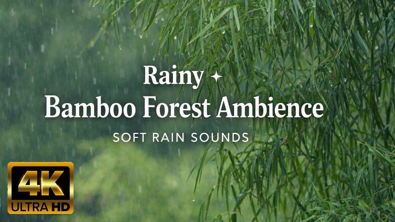 Rainy Bamboo Forest Ambience 🌧️ | Natural Rain Sounds for Sleep, Relaxation & Focus