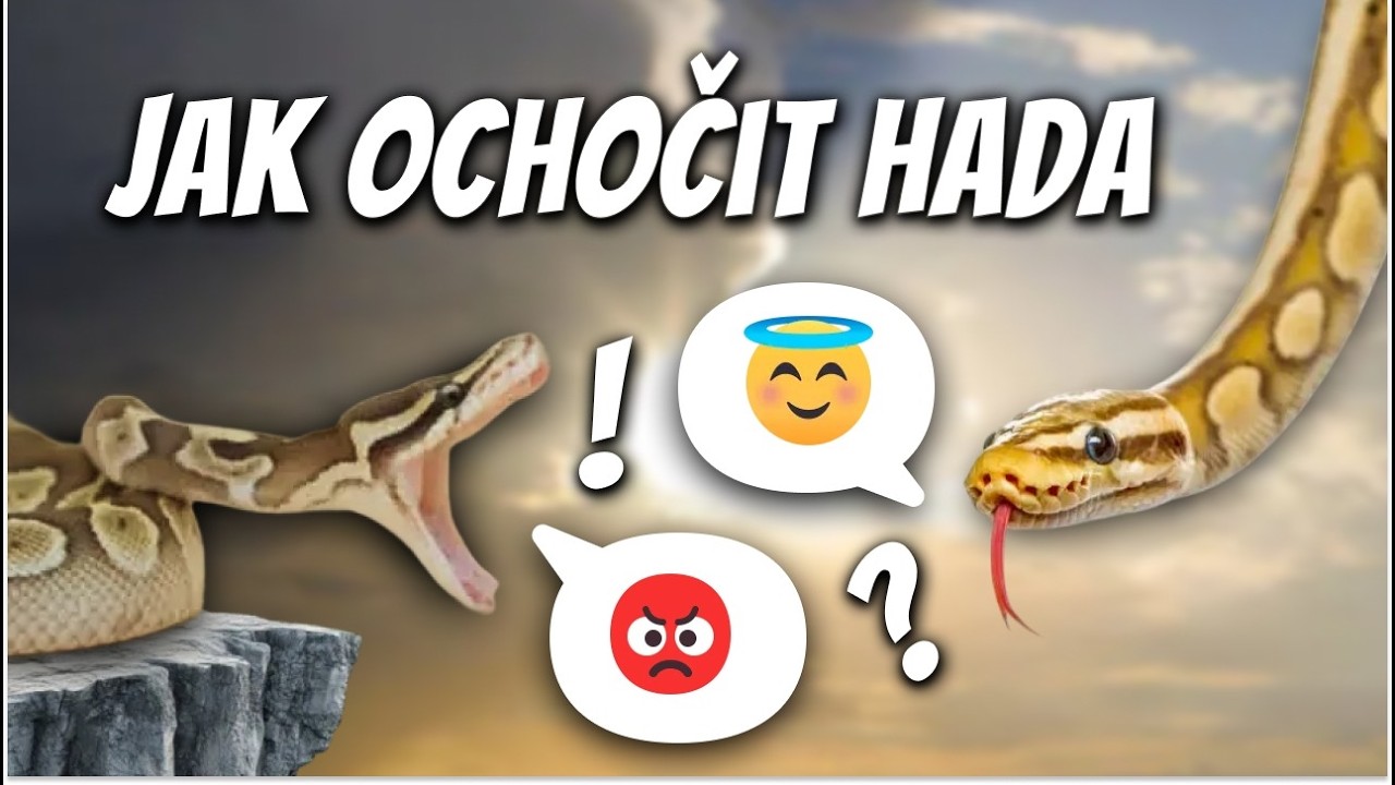 Jak z hada udělat klidného parťáka