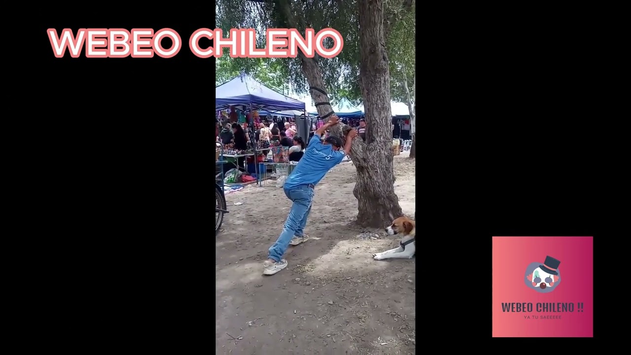 CHESPIRITO y DK MAKIGERO TORNEO DE CELL #TORNEODECELL#renepuente #papimicky #drama #humor