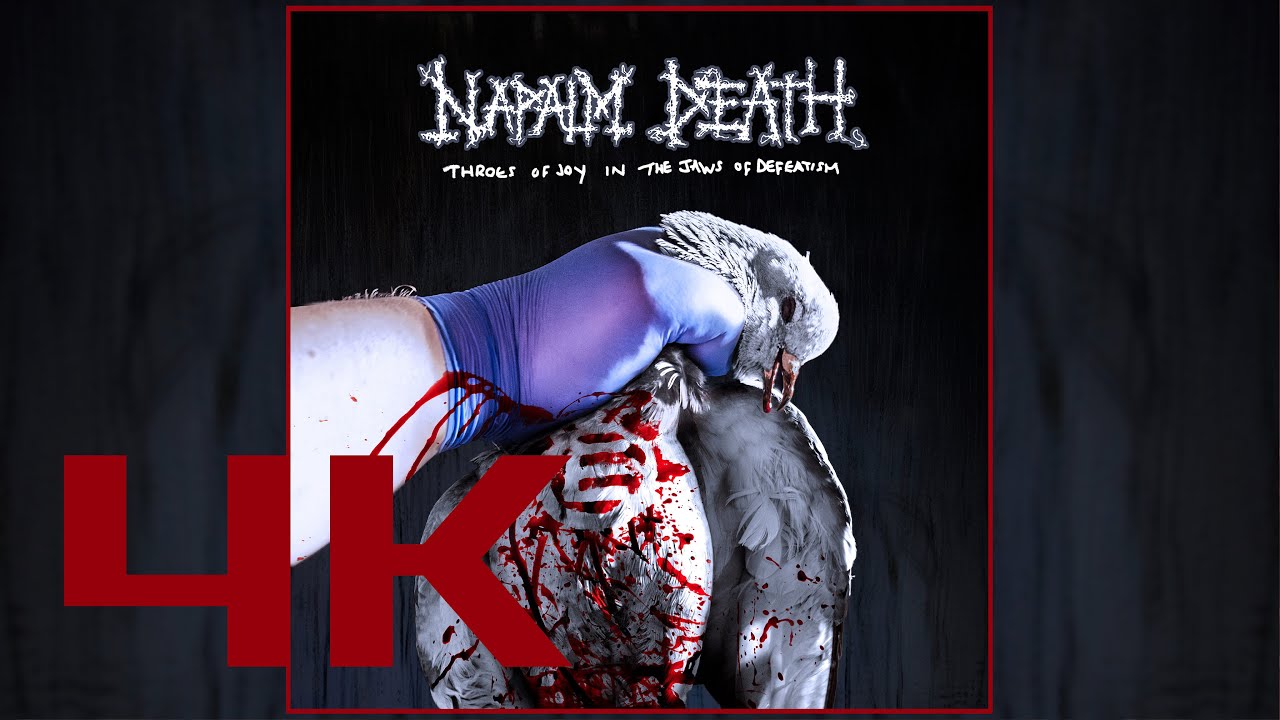 NAPALM DEATH Fluxing of the Muscle