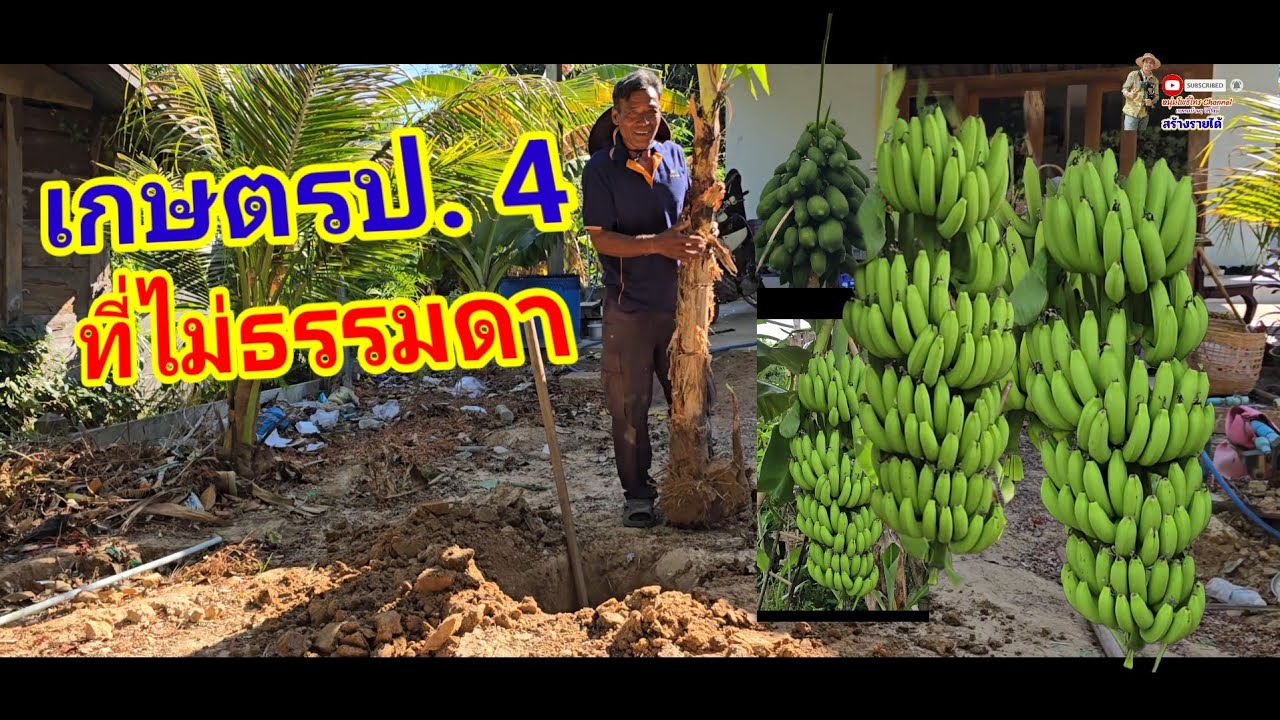 พอเพียงในแบบบ้านนา เรียบง่ายแต่ยั่งยืน