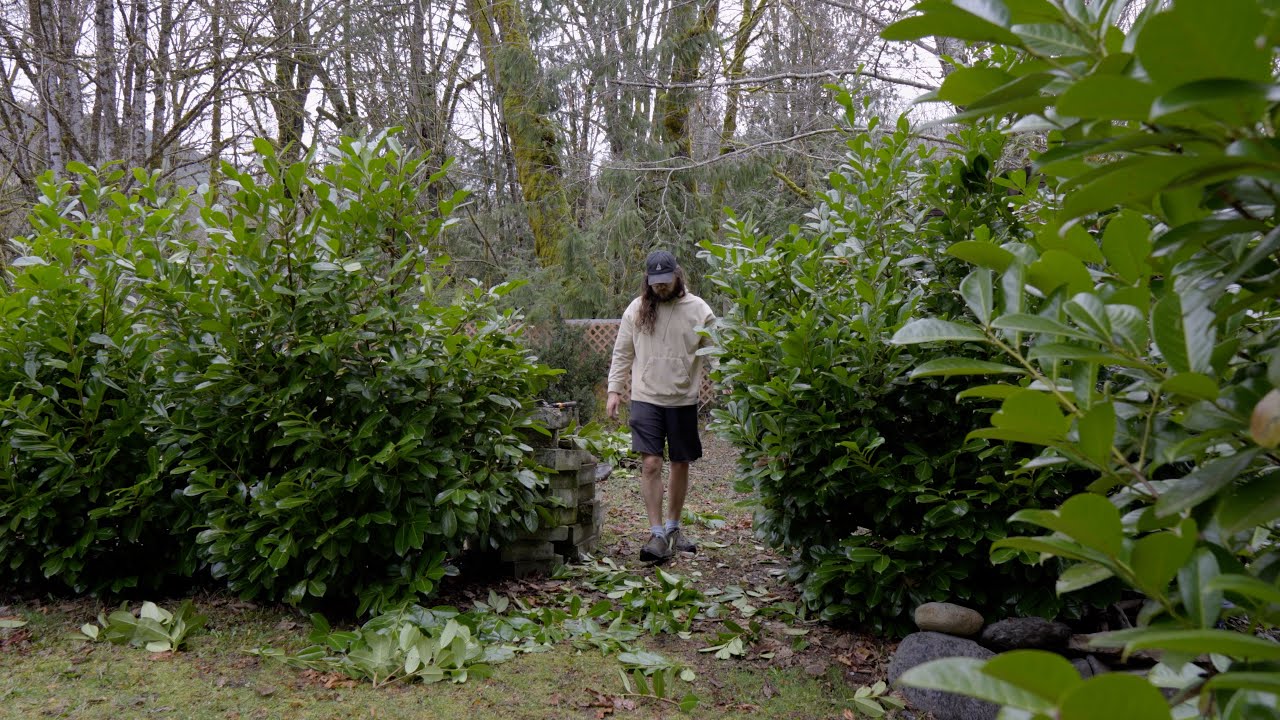 A Quiet Moment of Pruning | Spring at Riverdaughter Acres
