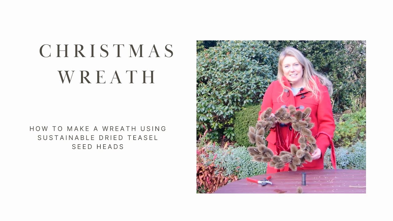 CHRISTMAS WREATH | How to make a wreath using dried sustainable Teasel seed heads | Kirsty Wilson