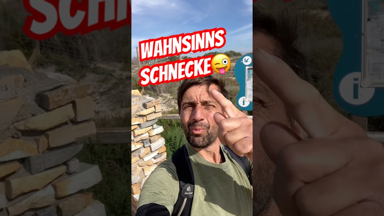 🧱 Found im Pfeiler 😁#geocaching #cache #found #ftf #verstecken #spielen #maurer #stf #treasure
