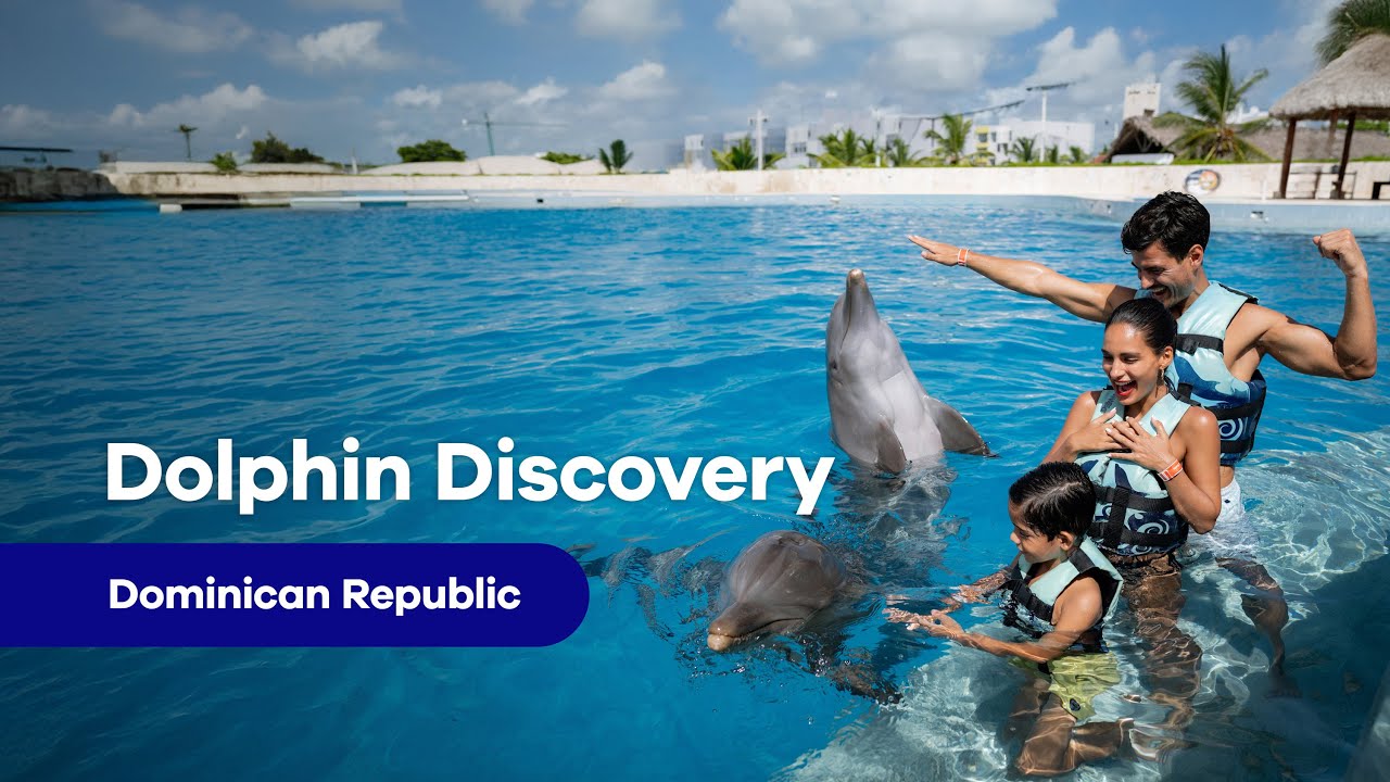 Dolphin Discovery Royal Swim 🐬💦 | The Ultimate Encounter in Punta Cana
