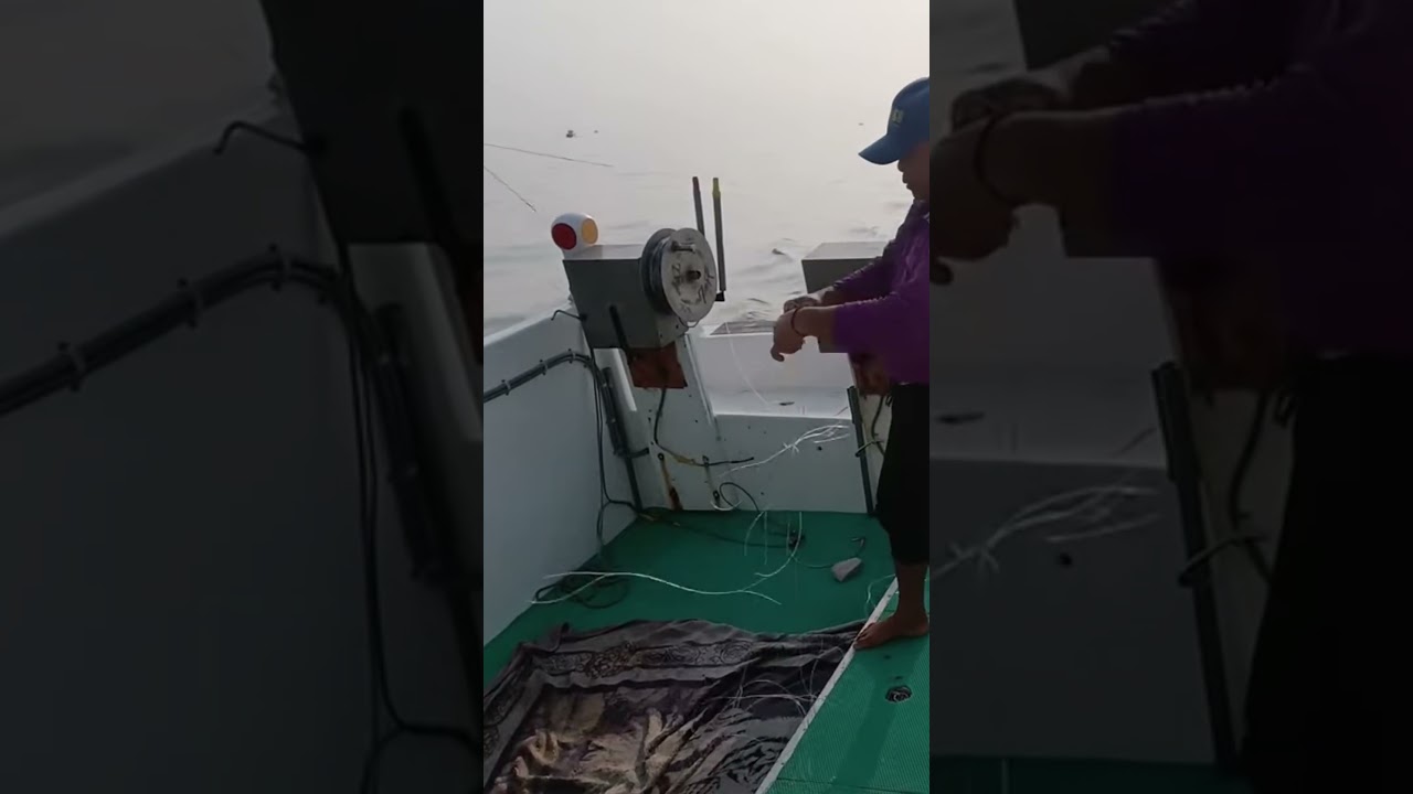 Taiwan fishing boat operation catch king mackerel using artificial bait 