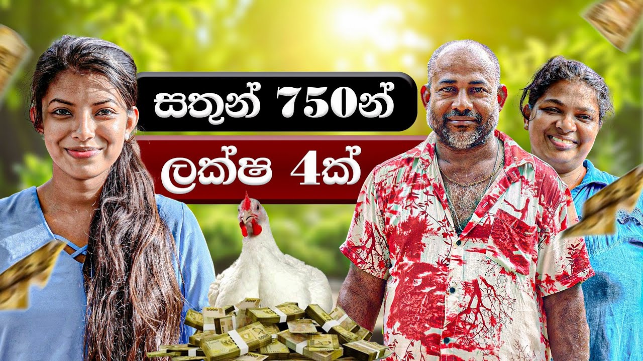අවුරුදු 20ක් කුකුල්ලු හැදුවත් මේ වගේ බරක් ගන්න බැරි උනා | Farm Innovation Solutions | Milmolac 