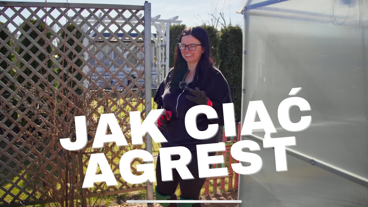 JAK CIĄĆ AGREST | Cięcie drzewek | Kasia in