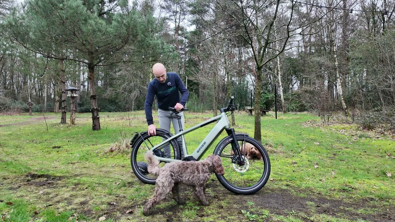 Opium T-serie 45u ebike met achterwiel motor zoals de Stromer, Klever Spedelec