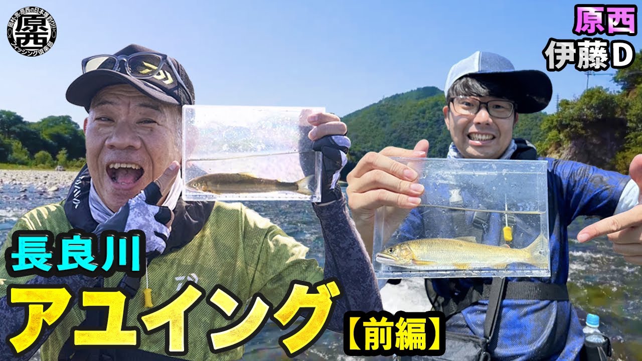 長良川でアユイングに挑戦！