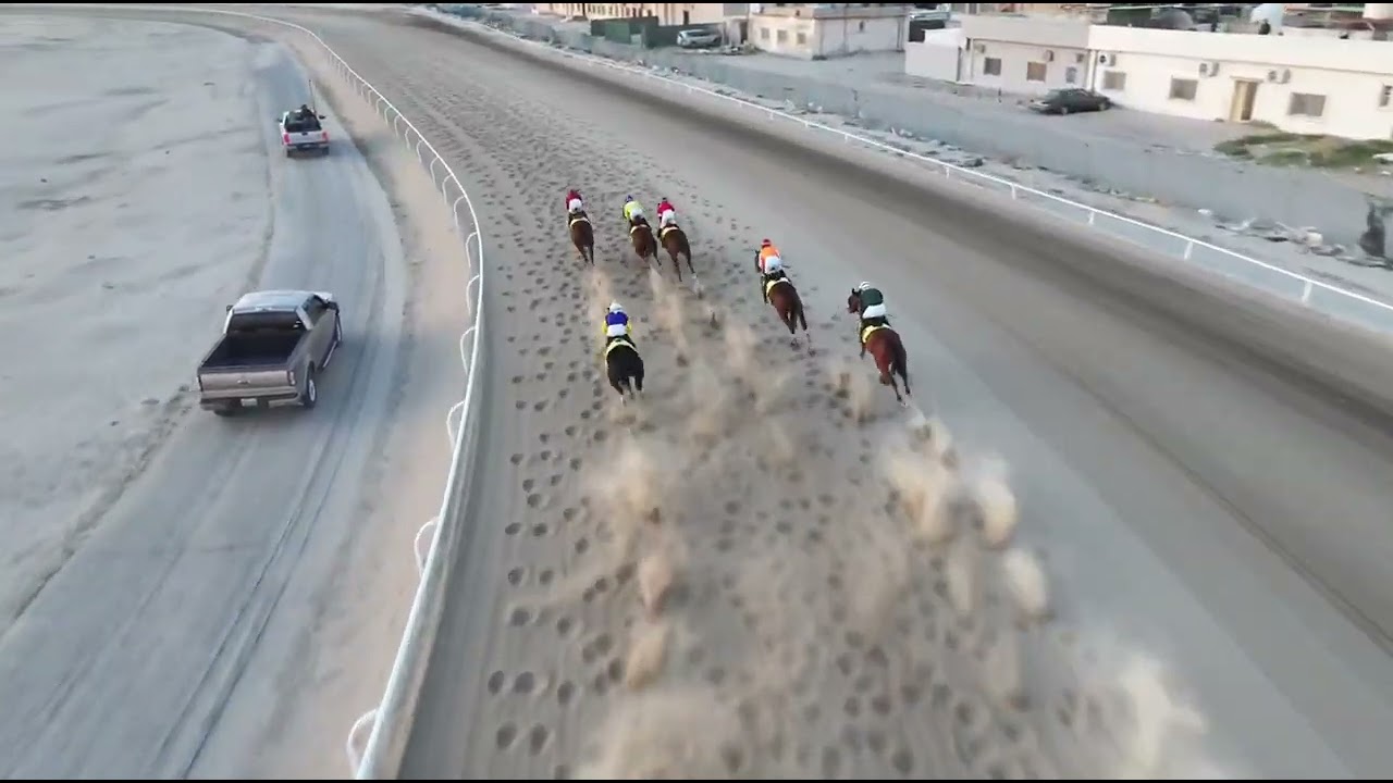 سباقات الاجتماع السابع الشوط السادس