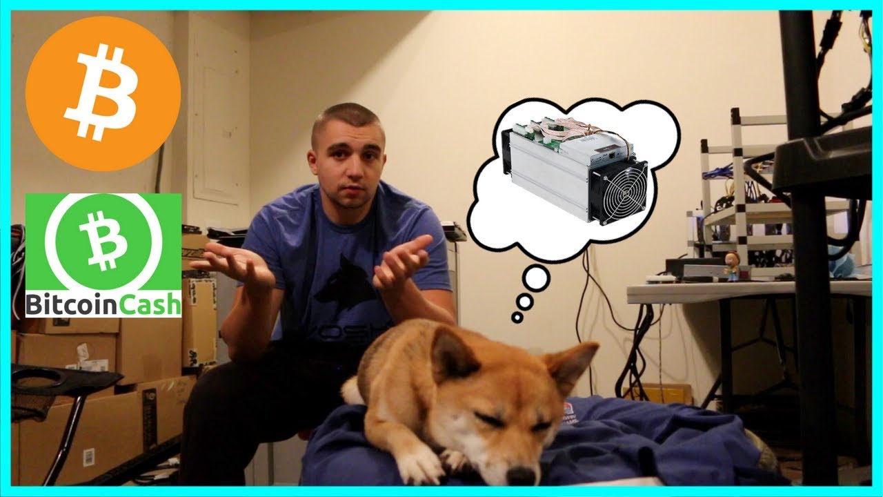 Is Bitcoin Mining Profitable in 2017? Antminer S9 making almost $50 a day?!