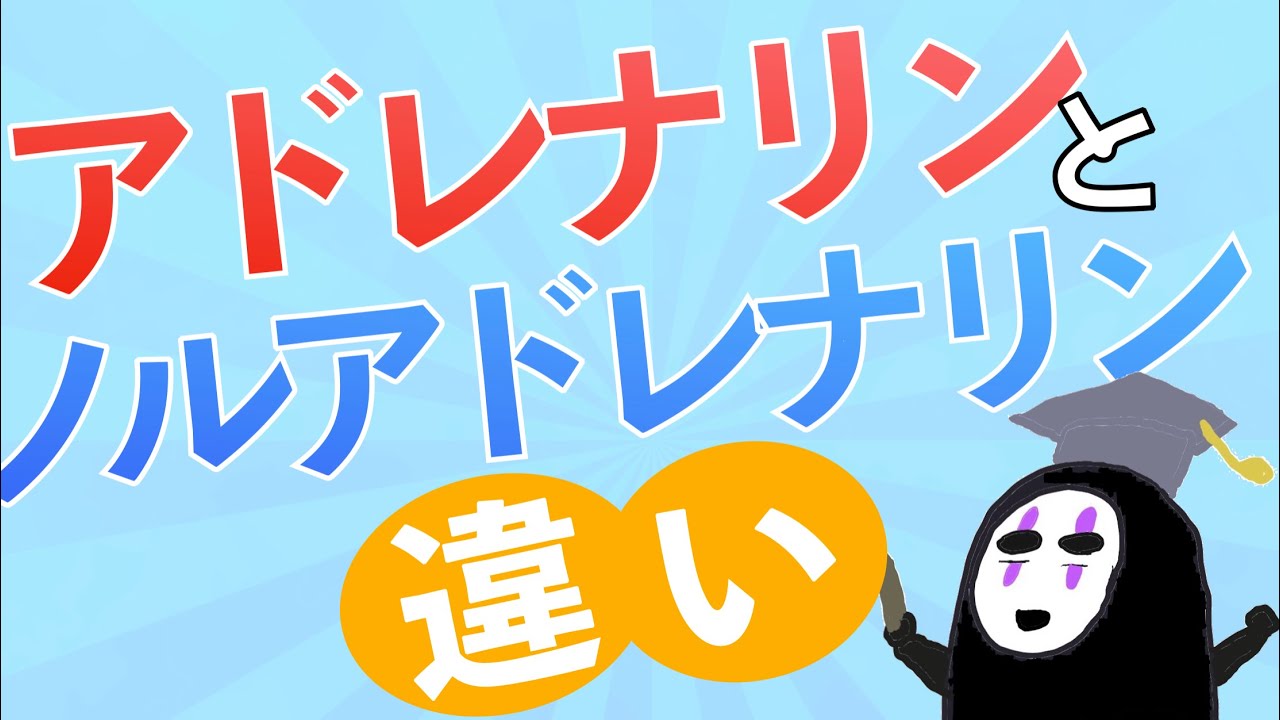 教科書をわかりやすく！「アドレナリンとノルアドレナリンの違いとは？」〜使い分けや作用を解説！〜