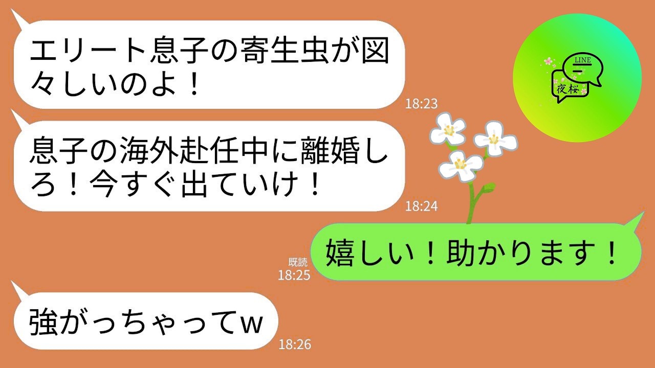 【LINE】夫が海外赴任に行くと同居中の義母から離婚宣告。義母「息子のいない間に出てけwエリート息子の寄生虫が」→私「ありがとうございます！」→大喜びで出ていった結果w