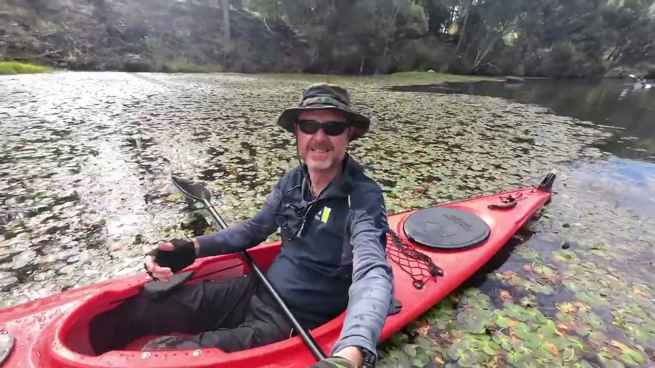 Collie Kayaking Comrades