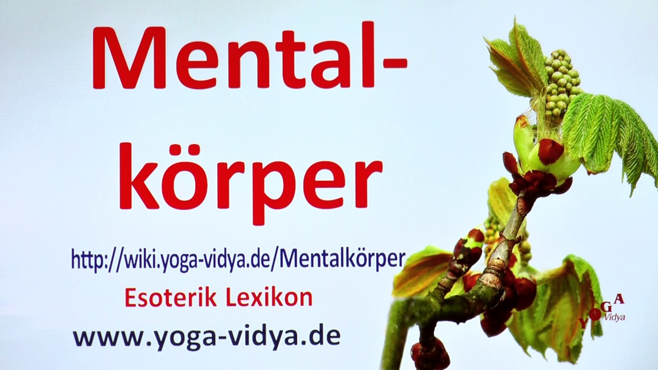Mentalk&ouml;rper