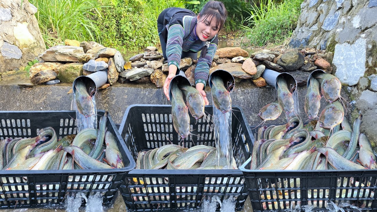 The video of a highland girl catching the most eels and selling them at the market to make a living