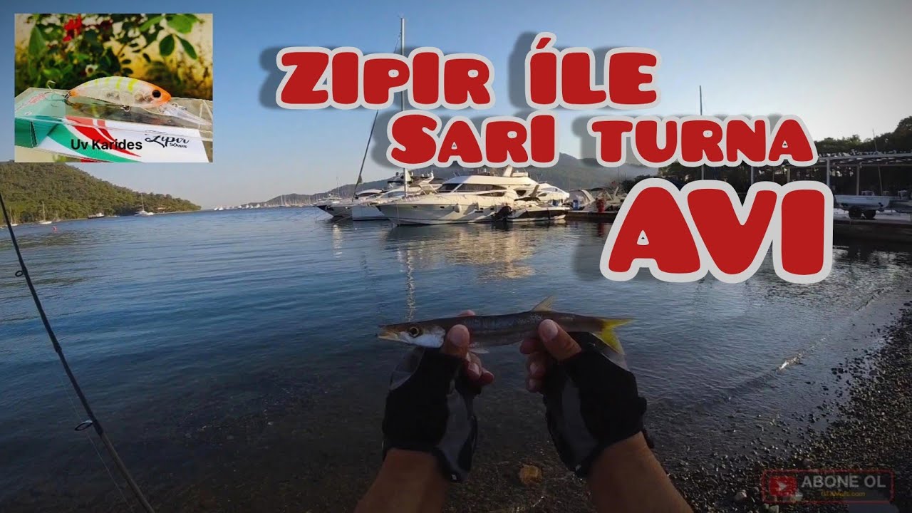 Zıpır ile Sarı TURNA ( ISKARMOZ ) Avı #lfr #zıpır #marmarias #hanfishing
