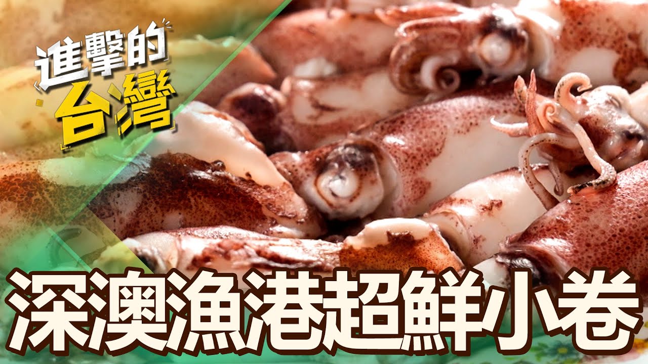 【新北必吃】象鼻岩旁討海人小卷米粉 大碗湯鮮老饕擠爆 第488集《進擊的台灣》part1｜陳怡廷 (小卷)