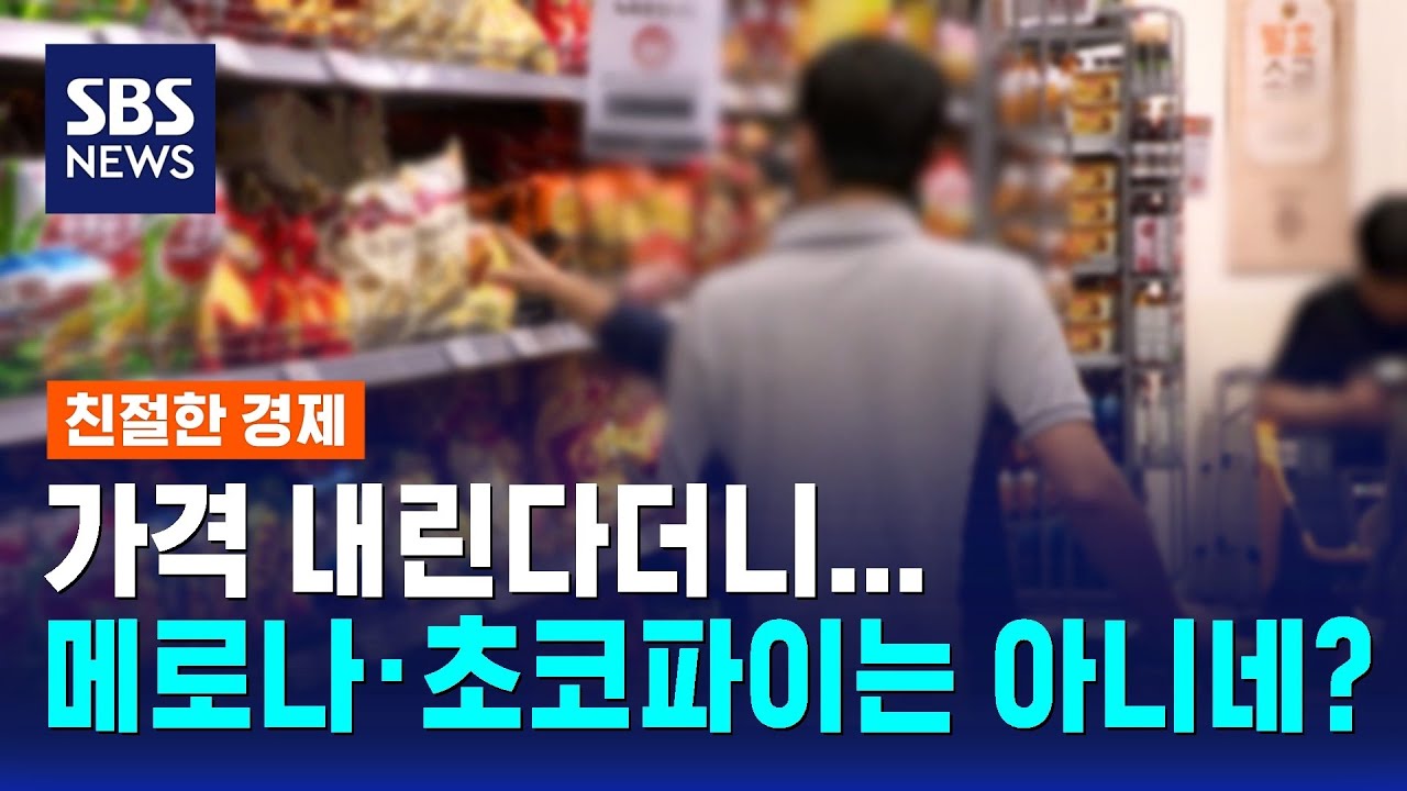 가격 내린다더니…메로나·초코파이는 아니네? / SBS / 친절한 경제