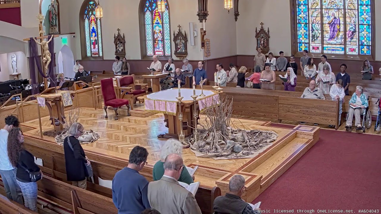 Video 2026-03-15 10:55 AM